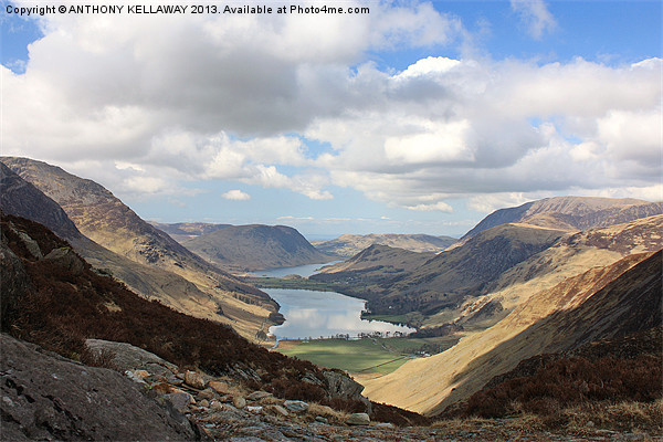 BUTTERMERE FROM HAYSTACKS Picture Board by Anthony Kellaway