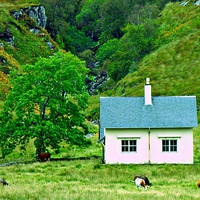 Buy canvas prints of Scottish cottage Crosben by Anthony Kellaway