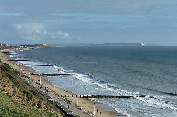 BOSCOMBE VIEW Picture Board by Anthony Kellaway