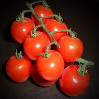 Buy canvas prints of CHERRY TOMATOES by Anthony Kellaway
