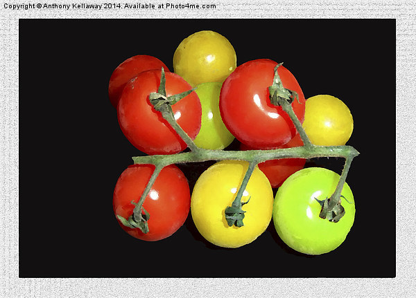 COLOURED TOMATOES Picture Board by Anthony Kellaway