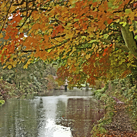 Buy canvas prints of  ITCHEN NAVIGATION IN AUTUMN by Anthony Kellaway