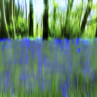 Buy canvas prints of  BLUEBELL ABSTRACT by Anthony Kellaway