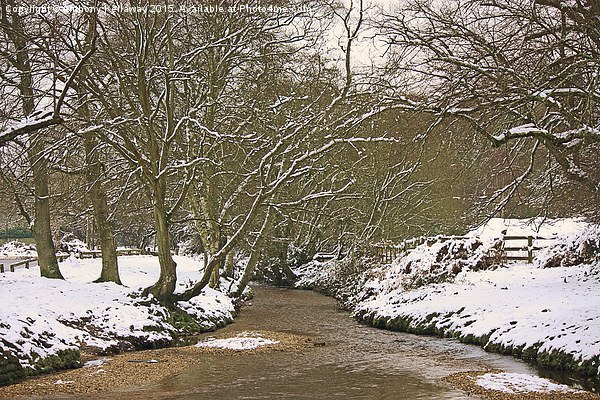  FOREST STREAM IN THE SNOW Picture Board by Anthony Kellaway