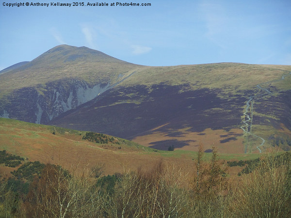  SKIDDAW AND JENKIN HILL Picture Board by Anthony Kellaway