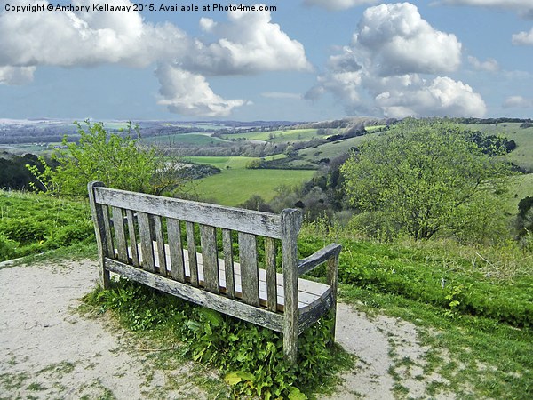  OLD WINCHESTER HILL VIEW Picture Board by Anthony Kellaway