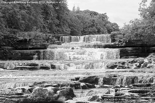  AYSGARTH FALLS BLACK AND WHITE Picture Board by Anthony Kellaway