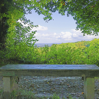 Buy canvas prints of THE BENCH by Anthony Kellaway