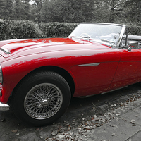 Buy canvas prints of  AUSTIN HEALY by Anthony Kellaway