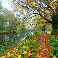 Buy canvas prints of     ITCHEN NAVIGATION IN AUTUMN                    by Anthony Kellaway