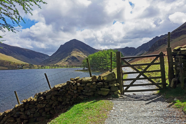             FLEETWITH PIKE ON BUTTERMERE           Picture Board by Anthony Kellaway