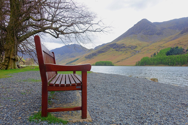                                BUTTERMERE BENCH Picture Board by Anthony Kellaway