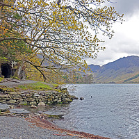 Buy canvas prints of        BUTTERMERE WALK                         by Anthony Kellaway