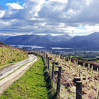 Buy canvas prints of    Derwent water and Keswick from Latrigg          by Anthony Kellaway