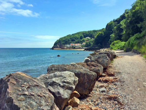 Walk to Babbacombe from Oddicombe beach Picture Board by Anthony Kellaway