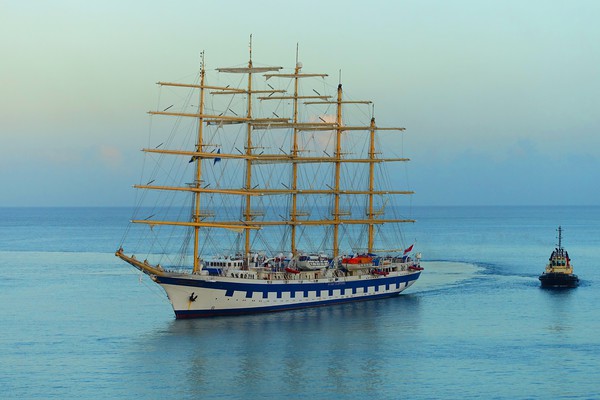           ROYAL CLIPPER                      Picture Board by Anthony Kellaway