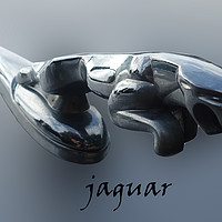 Buy canvas prints of               Jaguar mascot                  by Anthony Kellaway
