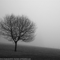 Buy canvas prints of The fog by Simon Alesbrook