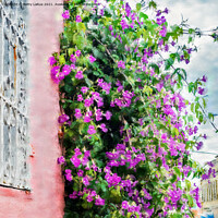 Buy canvas prints of Purple Flowering vine Climbing a Wall by Betty LaRue