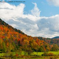 Buy canvas prints of Mountain Autumn Foliage by Betty LaRue