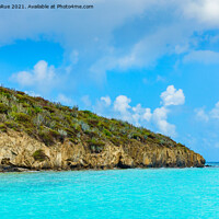 Buy canvas prints of Buck Island in the Caribbean by Betty LaRue