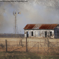 Buy canvas prints of Homestead in Dust Storm by Betty LaRue