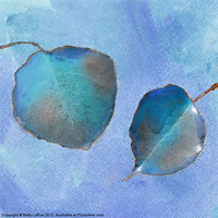 Buy canvas prints of Leaf Study in Blue by Betty LaRue