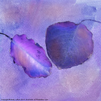Buy canvas prints of Leaf Study in Purple by Betty LaRue