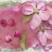 Buy canvas prints of Essence of Spring by Betty LaRue