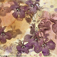 Buy canvas prints of Purple Profusion by Betty LaRue