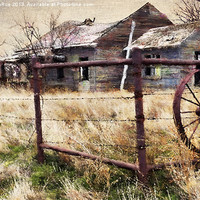Buy canvas prints of Homestead by Betty LaRue