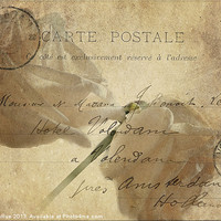 Buy canvas prints of Carte Postale by Betty LaRue