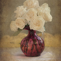 Buy canvas prints of Antique Roses by Betty LaRue