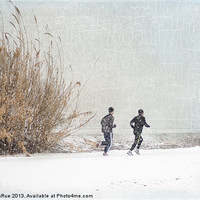 Buy canvas prints of Winter Runners by Betty LaRue