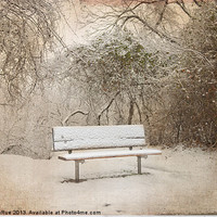 Buy canvas prints of The Lonely Bench by Betty LaRue