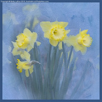 Buy canvas prints of Daffodils in Blue by Betty LaRue