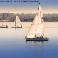 Buy canvas prints of Becalmed by Betty LaRue