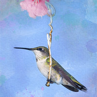 Buy canvas prints of Hummingbirds Like to Swing by Betty LaRue