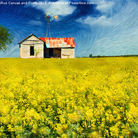 Buy canvas prints of Field of Dreams by Betty LaRue