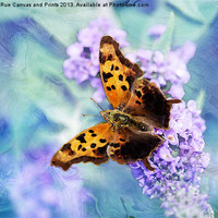Buy canvas prints of Golden Butterfly by Betty LaRue