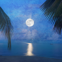 Buy canvas prints of Tropical Moonglow by Betty LaRue