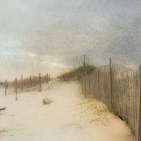 Buy canvas prints of A Day at the Beach by Betty LaRue