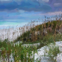 Buy canvas prints of Sea Air by Betty LaRue