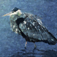 Buy canvas prints of Abstract Great Blue Heron by Betty LaRue