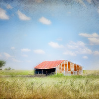 Buy canvas prints of The Old Shed Meeting Place by Betty LaRue