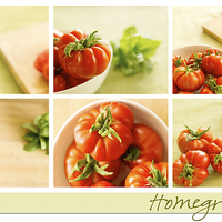 Buy canvas prints of  Simply Tomatoes Storyboard by Corrine Weaver