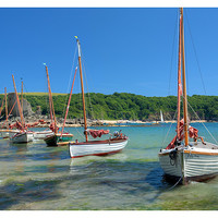 Buy canvas prints of Salcombe by Andrew Roland
