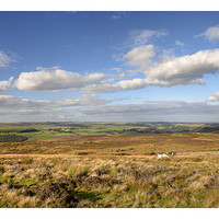 Buy canvas prints of Stainton Moor by Andrew Roland