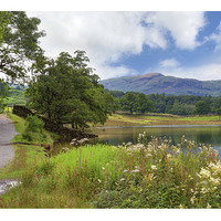 Buy canvas prints of Rydal Water by Andrew Roland