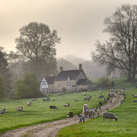 Buy canvas prints of Cotswold Misty Morning by Andrew Roland